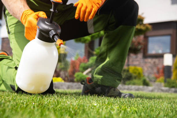 Best Wildlife Control Services  in Somers, MT