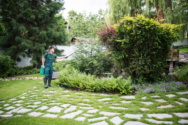 Best Best Pest Control Companies  in Somers, MT