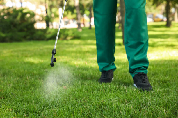 Best Residential Pest Control  in Somers, MT