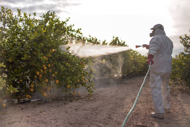 Wildlife Control Services in Somers, MT