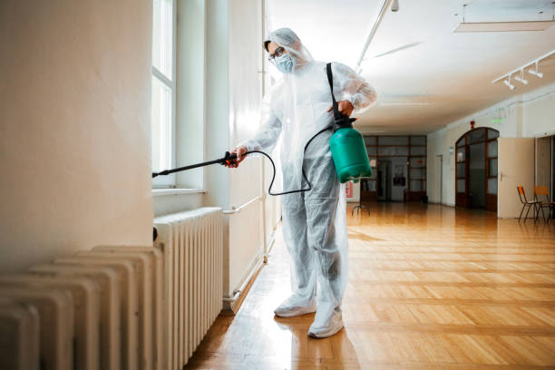 Best Local Pest Control Services  in Somers, MT