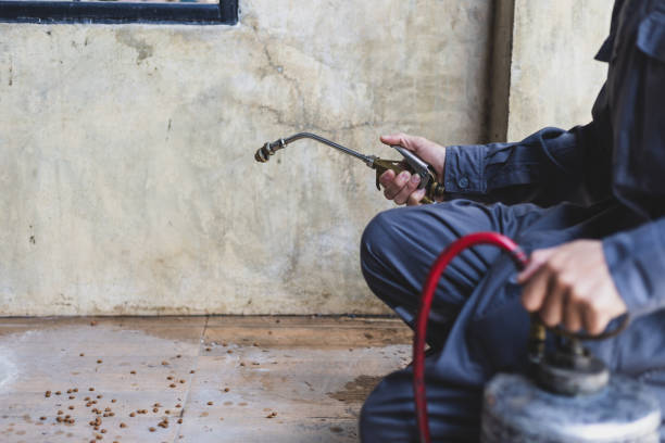 Best Best Pest Control Companies  in Somers, MT